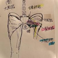 画像294