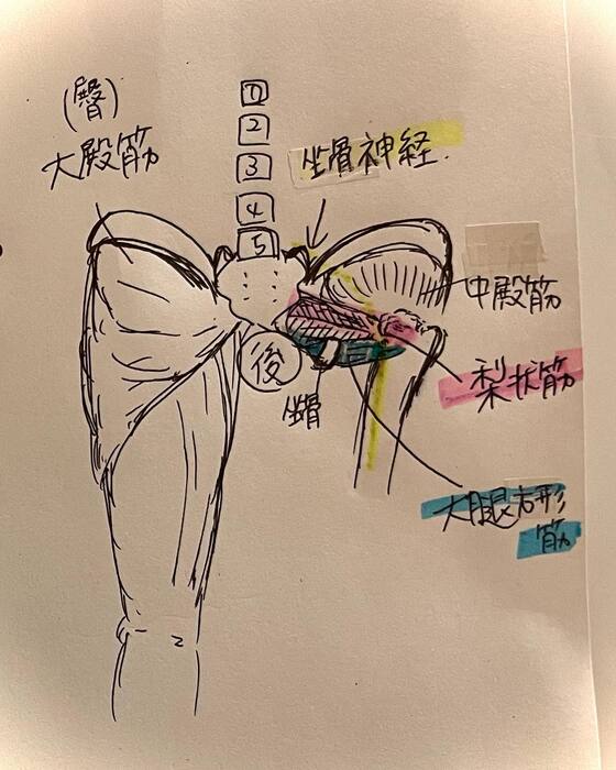 画像294