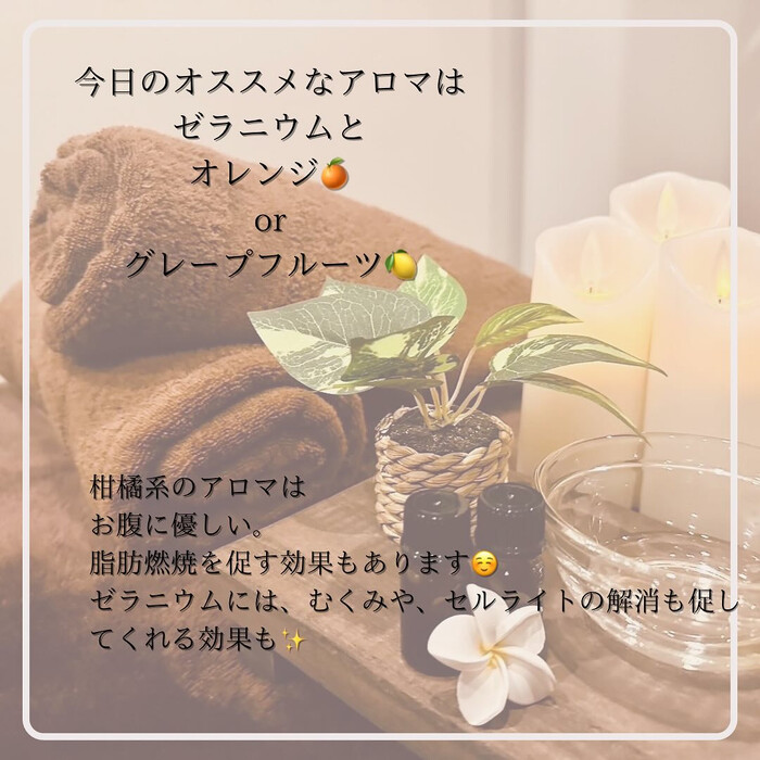 画像481
