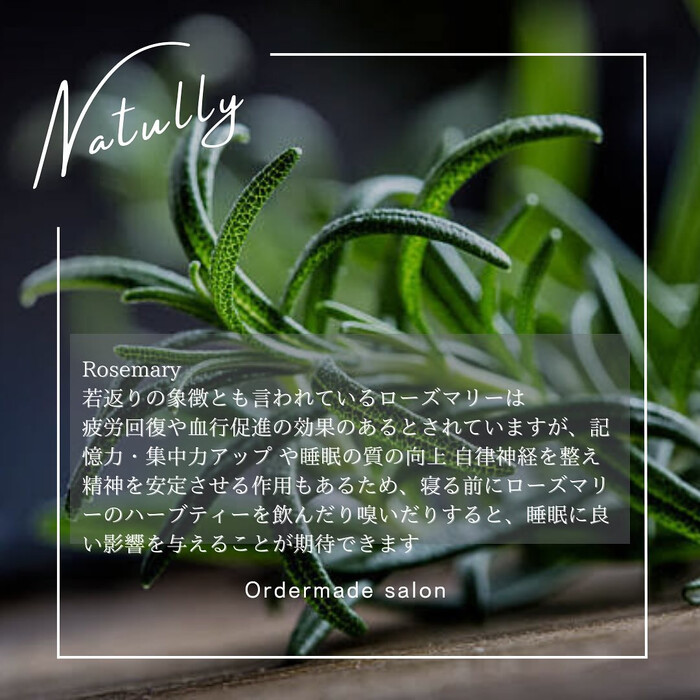 画像617