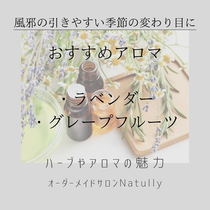 画像788